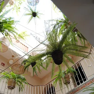 Cordoba Sewilla